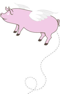 pig